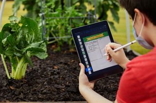 Apple Ipad Used In School Garden