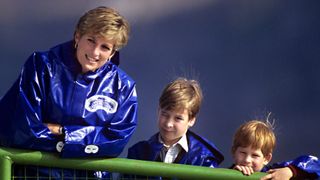 Princess Diana harry and william