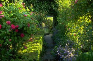 cottage garden layout ideas: secret gate in hedge