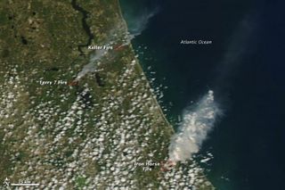 florida-wildfires-110303-02