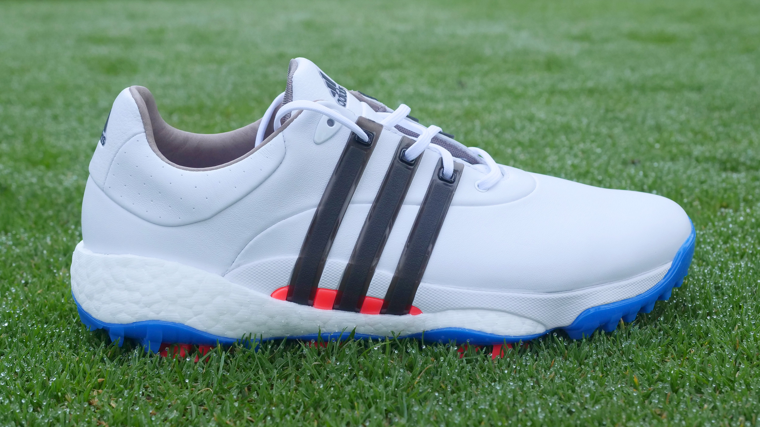 adidas Tour360 Shoe Review | Golf Monthly