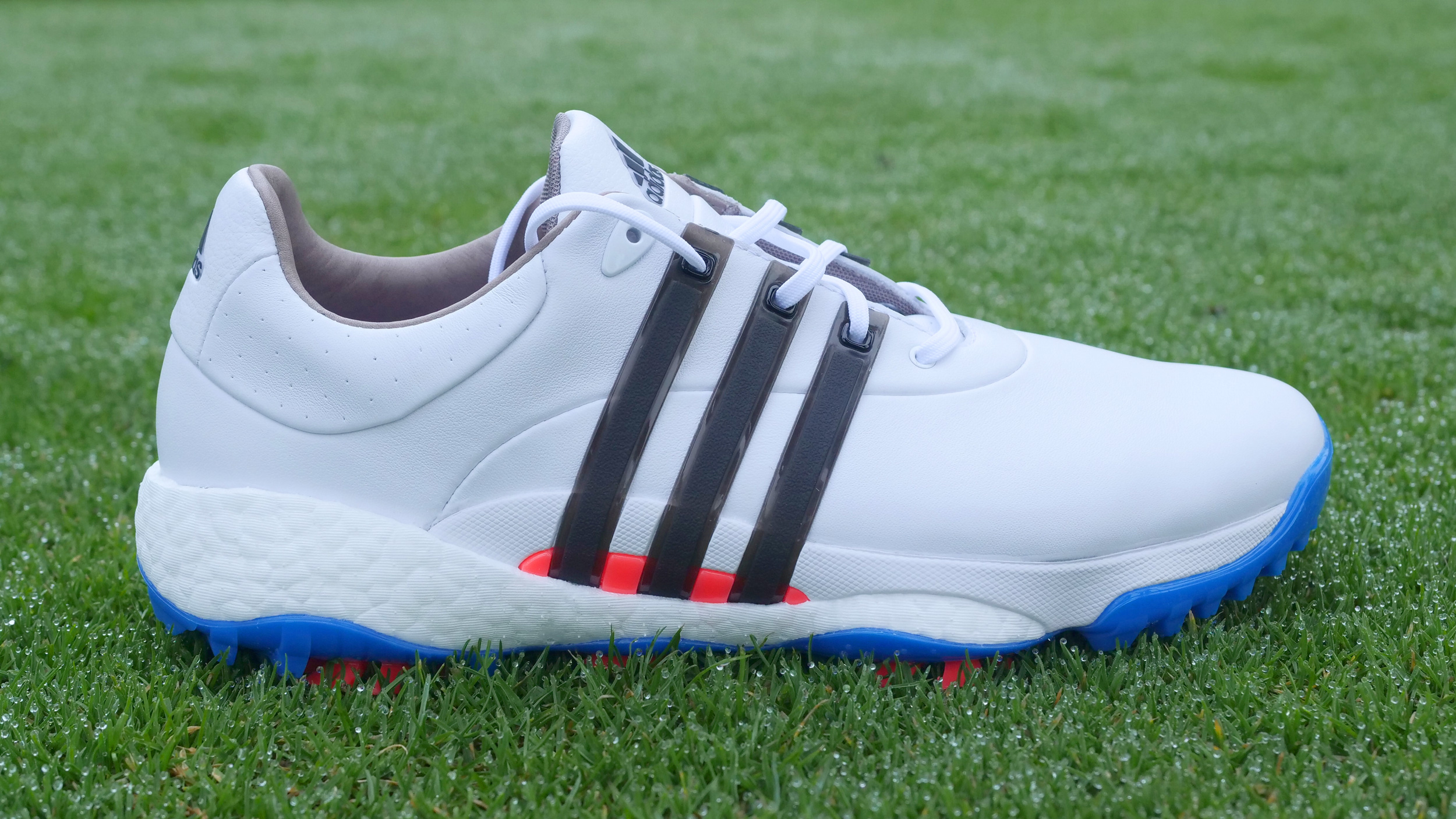 Adidas men's tour on sale 36 golf shoes