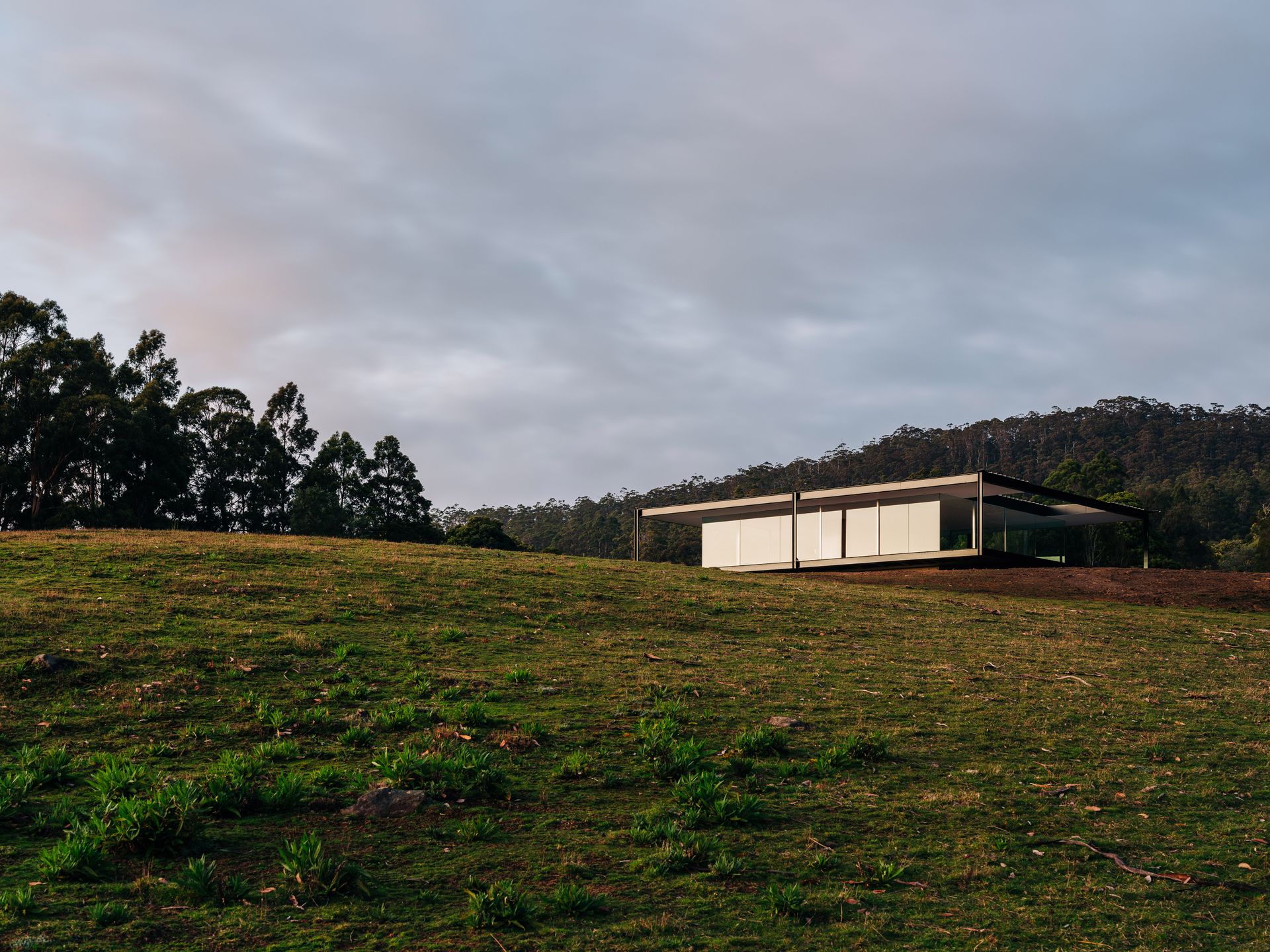 hero exterior showing the boxy shape of tasmania house by room 11 among nature