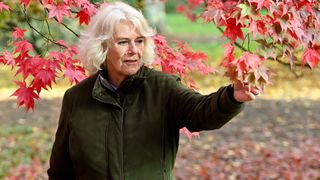 Camilla, Duchess of Cornwall (in her role as Patron of the Friends of Westonbirt Arboretum) visits Westonbirt