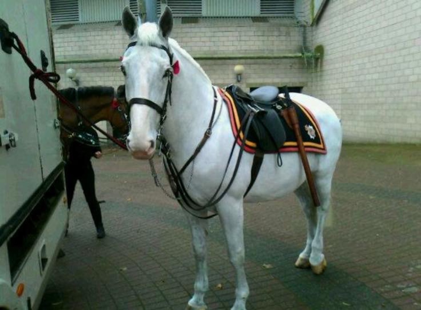 Northumbria Police