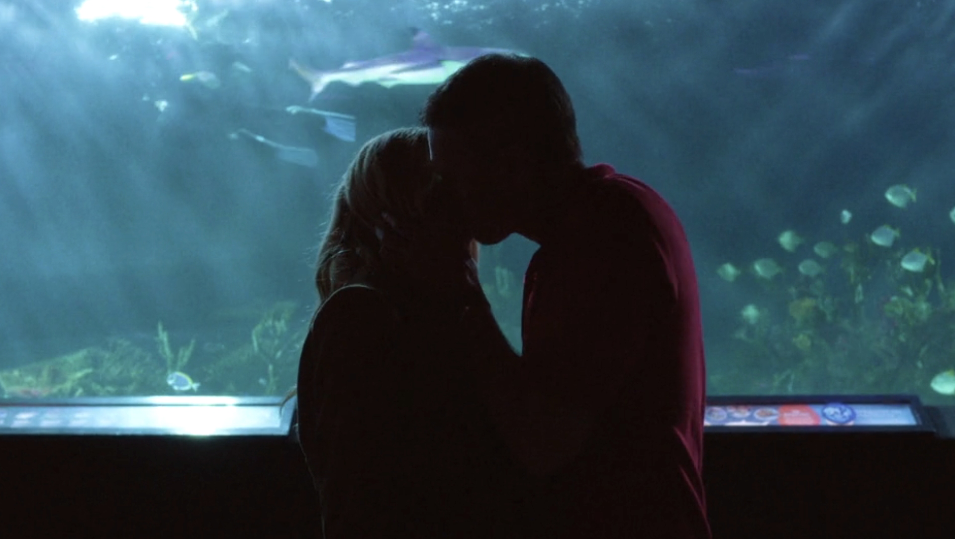 Elliot and Sean kissing at the aquarium in Scrub's Season 2 episode