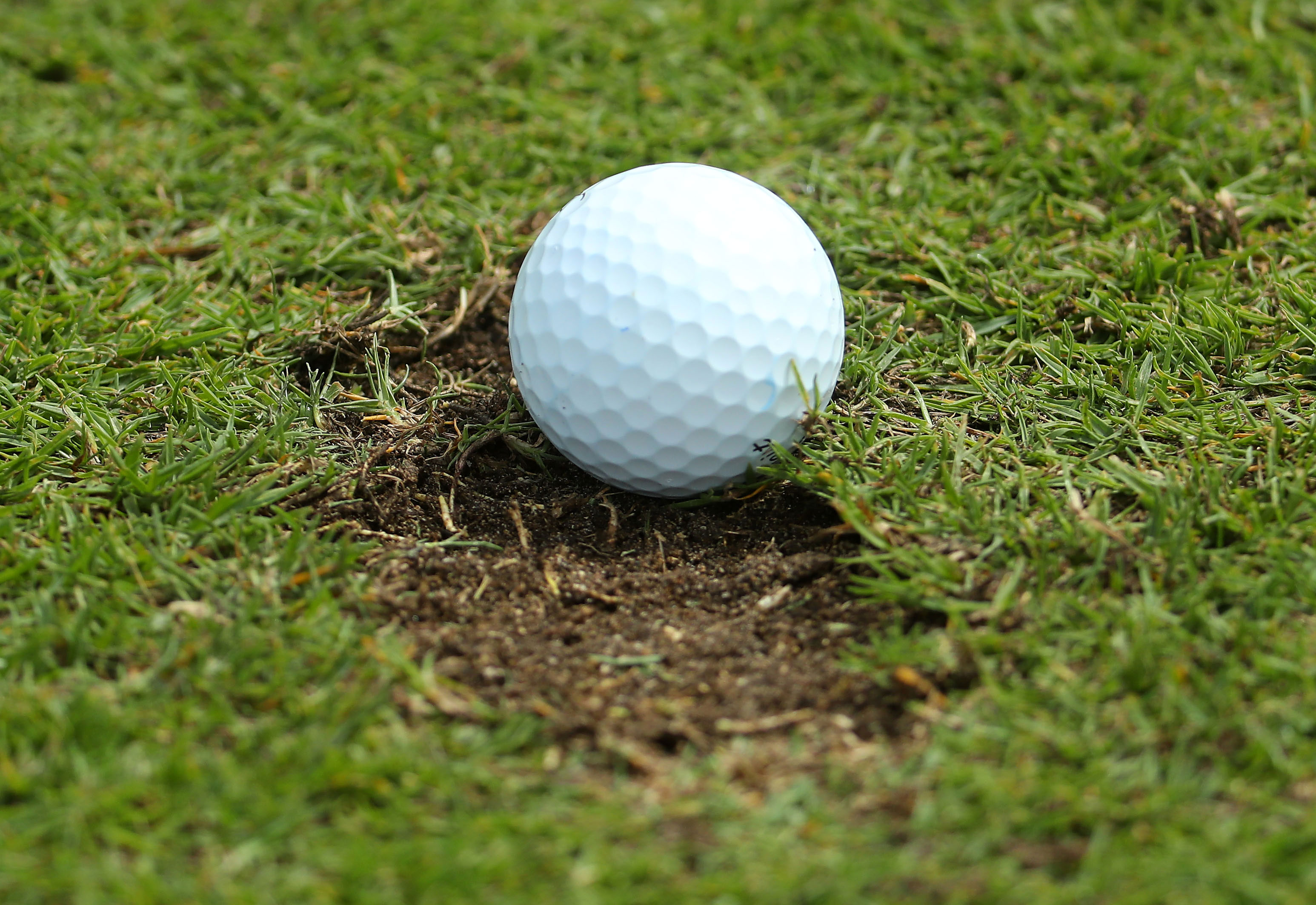 Golf ball in divot hole