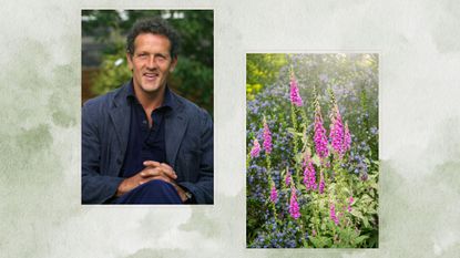 Composite of monty don and fox gloves to support Monty Don's May seed sowing advice 