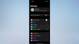 iOS Settings app with Cellular highlighted