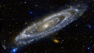 Our largest galactic neighbor, the Andromeda galaxy (or M31) sits about 2.5 million light-years away and spans some 260,000 light-years across.