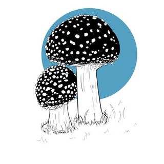 Mushroom, Illustration, Fungus, Clip art, Agaric,