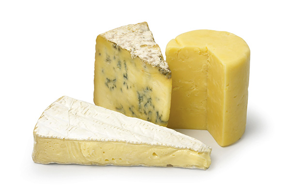 Cheese