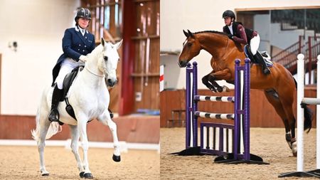 Two pictures showing horses competing in dressage and showjumping bridleless at the British Bridleless Competition