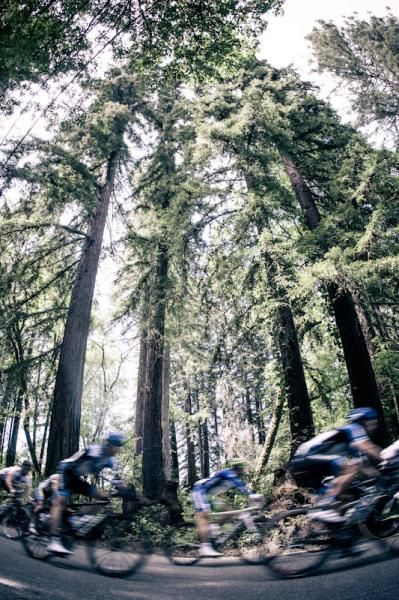Much of today was spent riding amongst the massive Redwood trees.