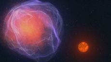 A simulated image shows the moment a low-mass star is about to get a kick out of the supernova explosion of a white dwarf