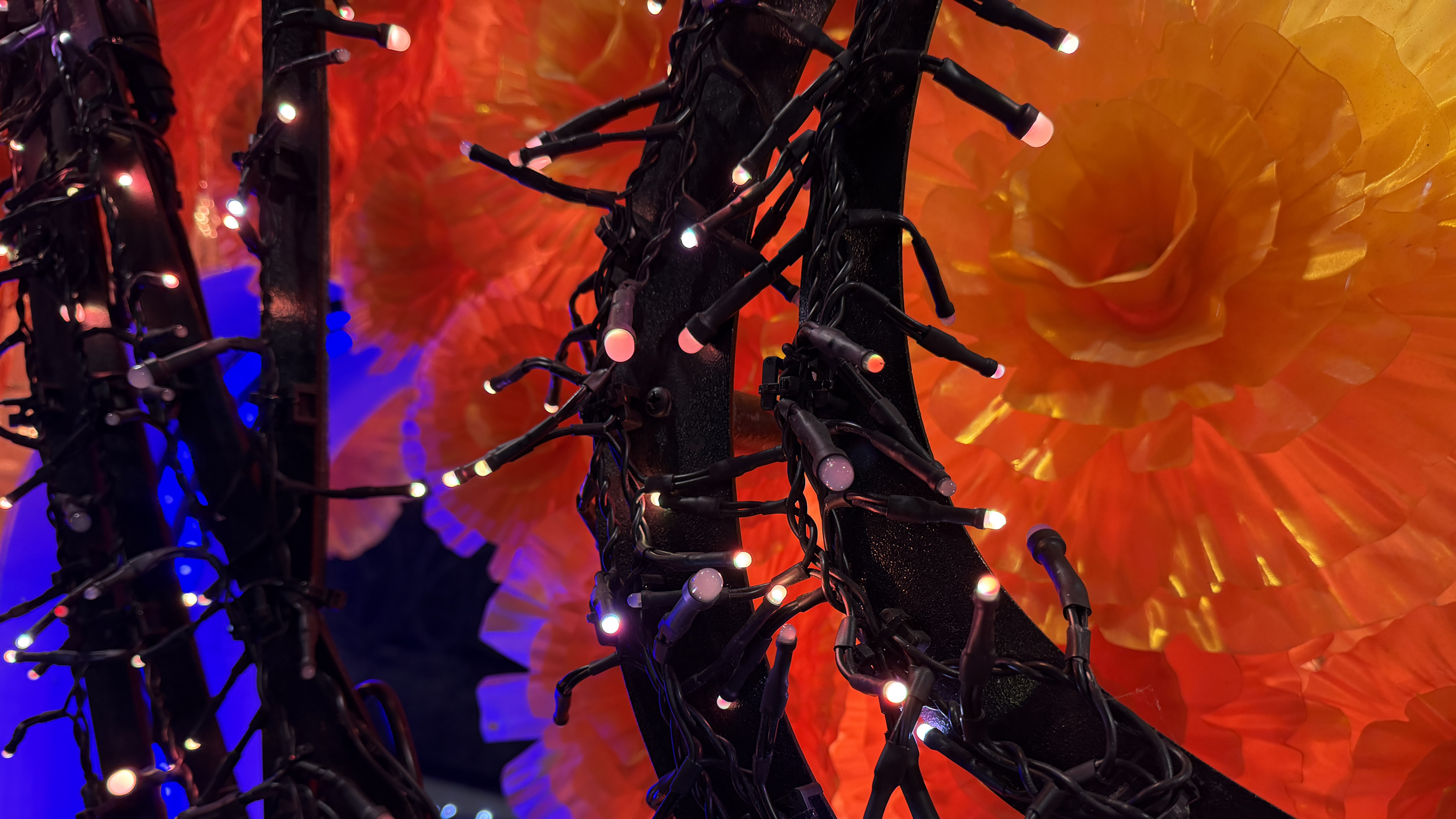 Disney World Starlight Parade Tour