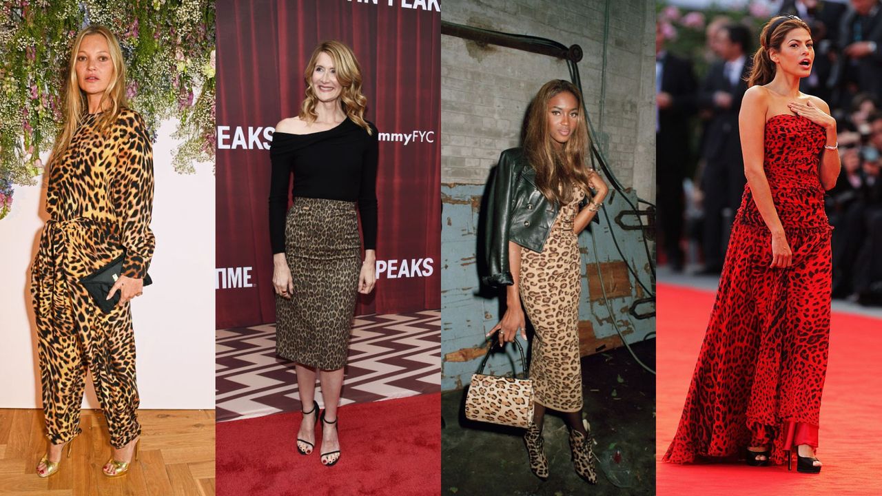 4 pictures of celebrities showing ways to style leopard print. L-R: Kate Moss, Laura Dern, Naomi Campbell and Eva Mendes.