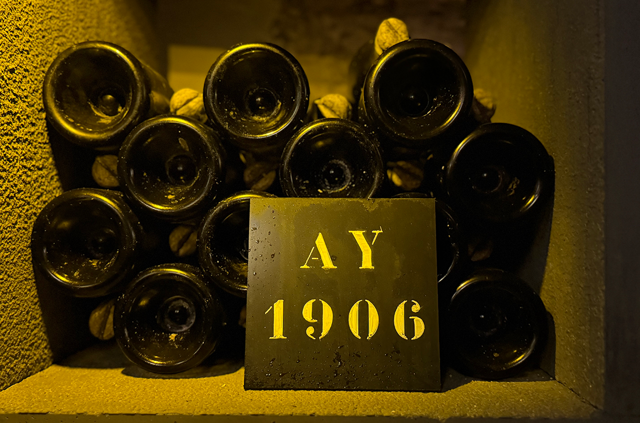 Bollinger