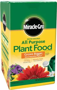 Miracle Gro All Purpose Plant Food