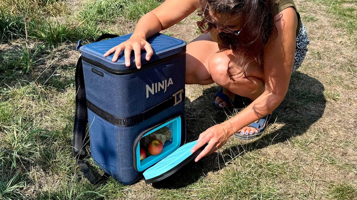 11 of the best coolers to keep your food and drinks chilled in the heat — recommended by a former outdoors editor