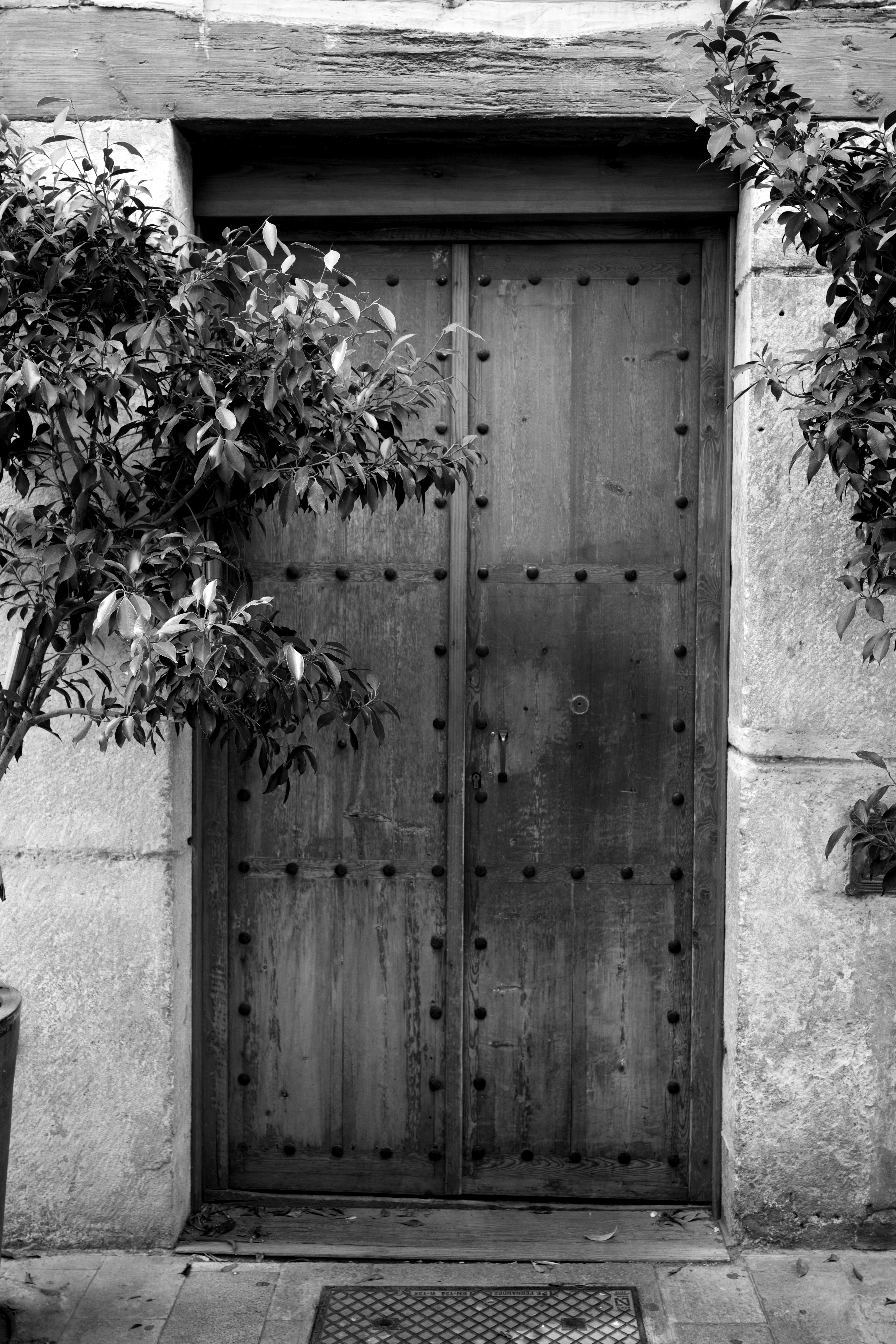 Images taken using the Fujifilm X-E5