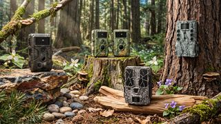 A selection of trail cameras in some woods.