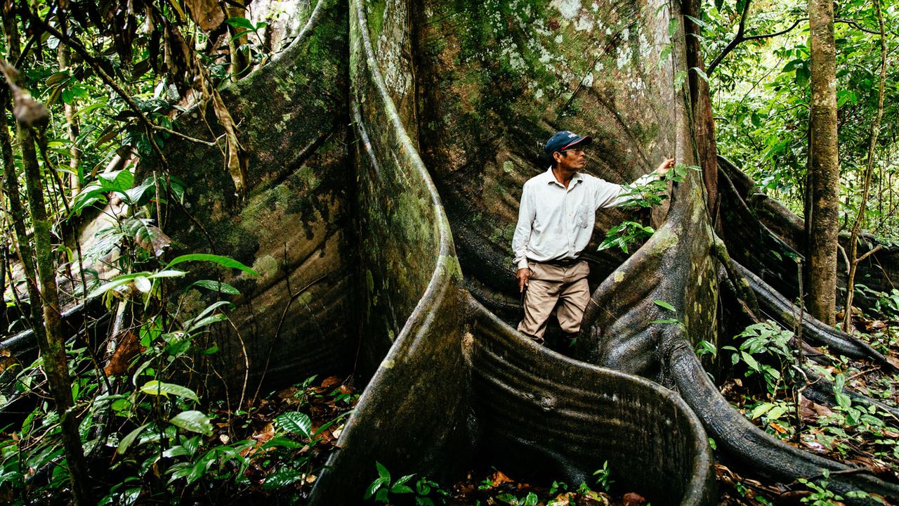 Aria Amazon, Peru cruises