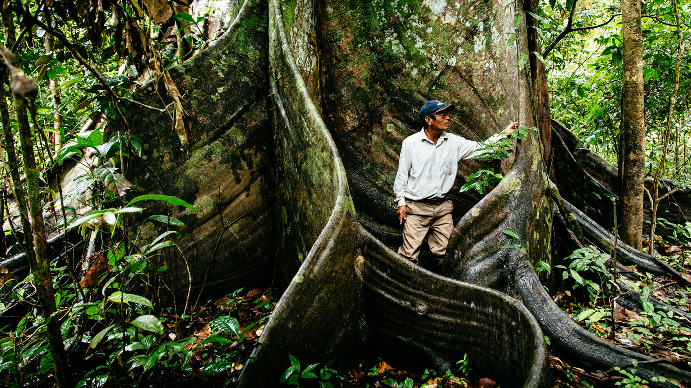 Aria Amazon, Peru cruises