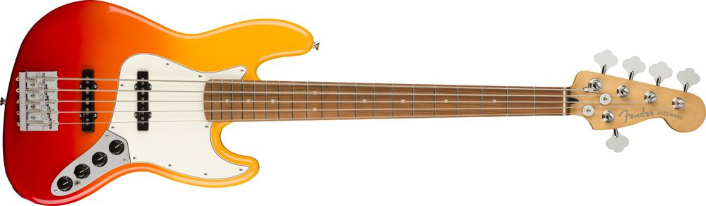 Fender Player Plus guitar