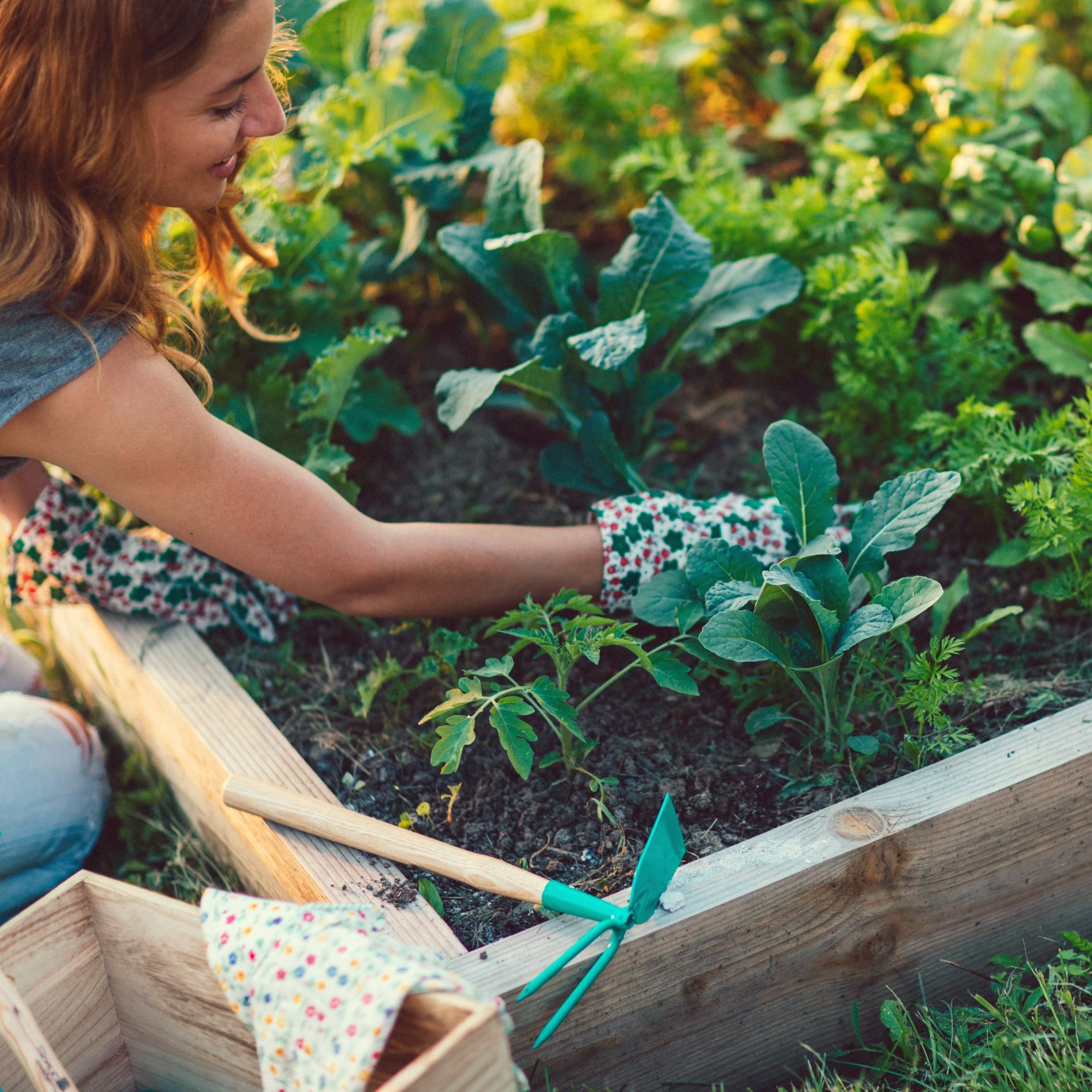 Woman planting vegetable garden