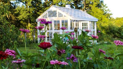 Bubble Glass Double Old Fashioned - Clear - Greenhouse Home