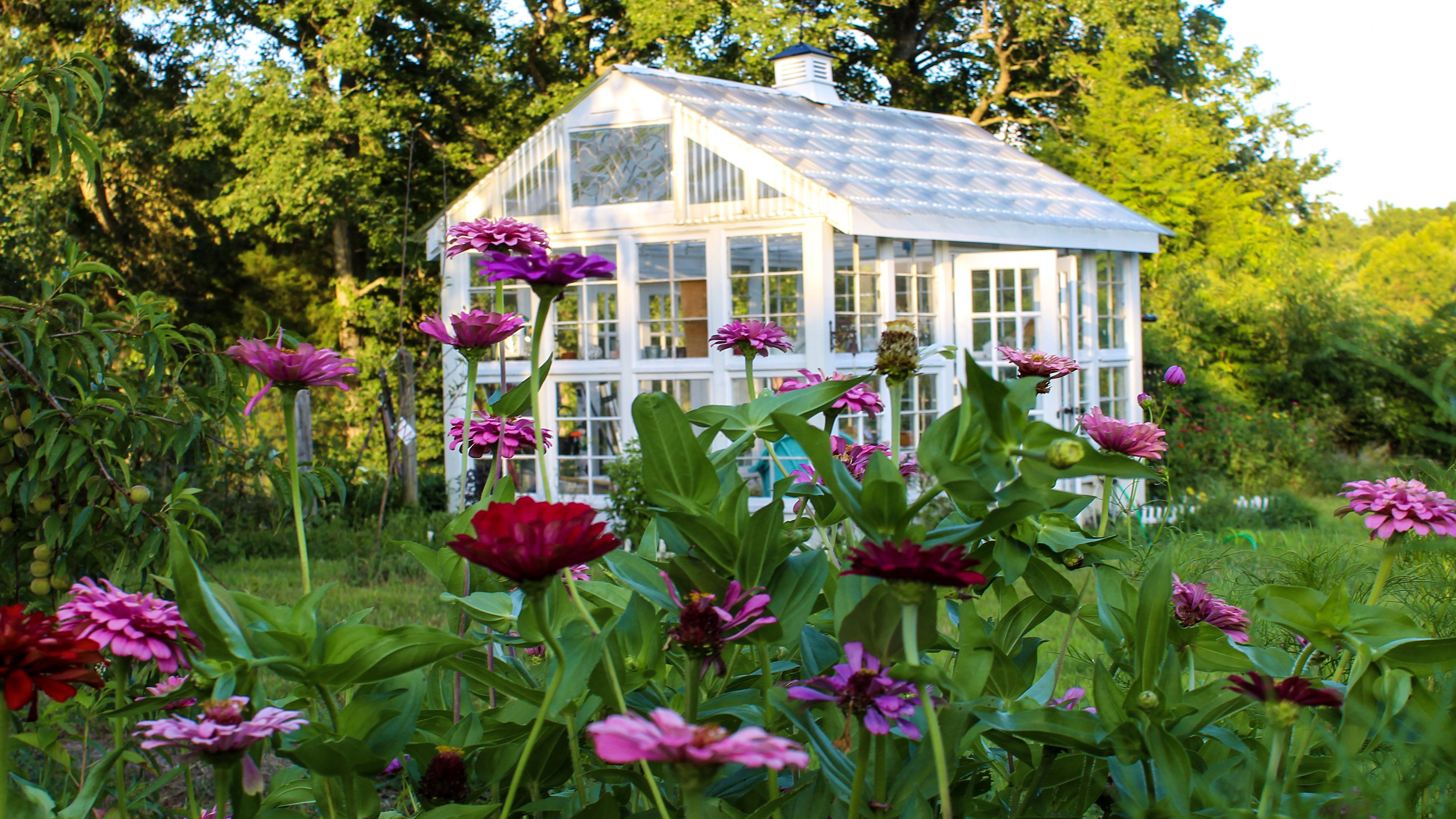 How To Re-purpose A Food Container As A Mini Greenhouse Kids