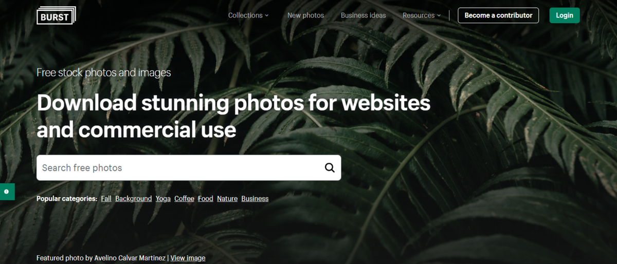 Burst by Shopify, a free stock photo site for businesses