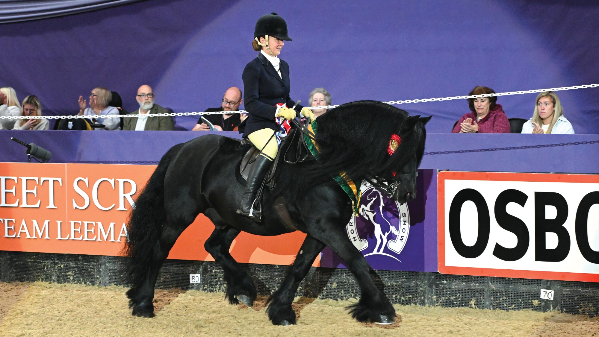 Fell Pony Wildhoeve Okidoki trotting around the arena after standing champion with Clare Fitch in the saddle at HOYS