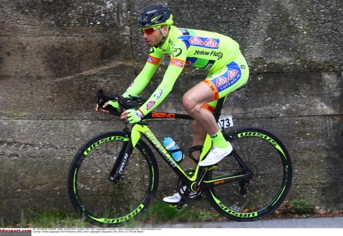 Francesco Faili (Yellow Fluo)