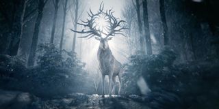 the stag in Shadow and Bone tv series