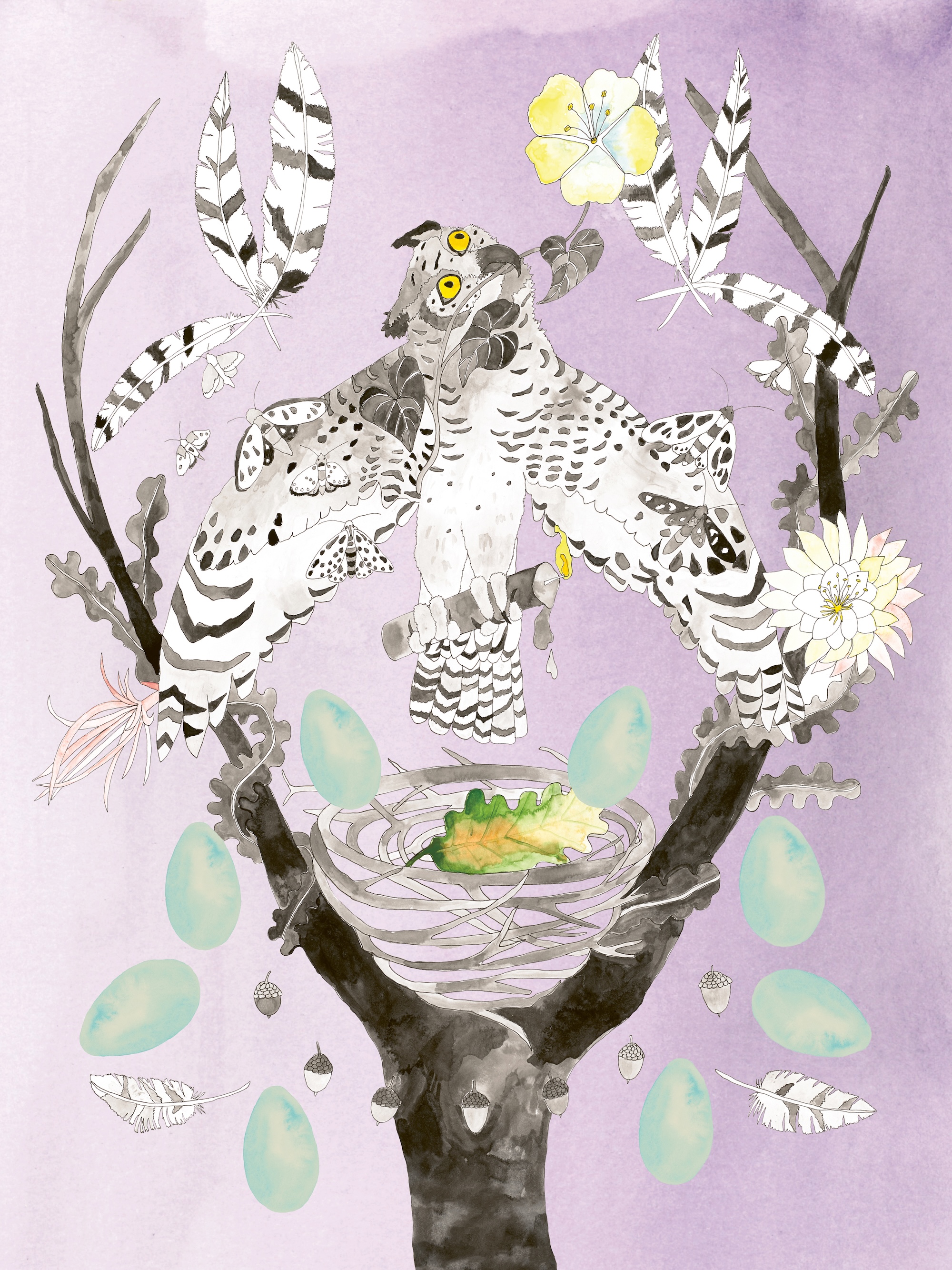 oralee clare crespo book