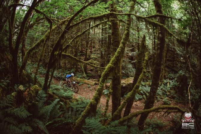 Rainforest electric green surrounds riders throughout the day.