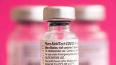 bottle of the Pfizer and BioNTech COVID-19 vaccine