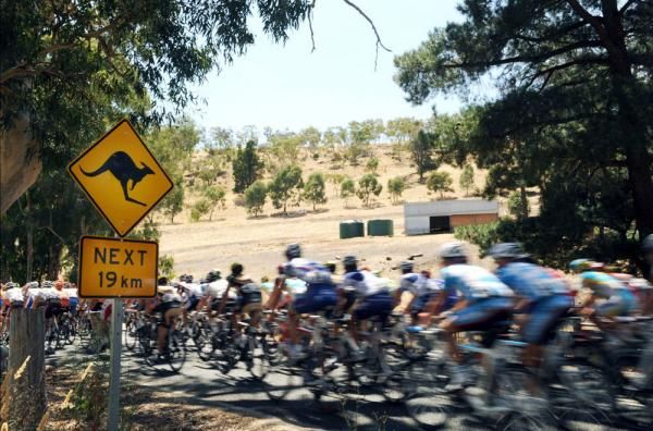The peloton zoom past a quintessential Australian road sign