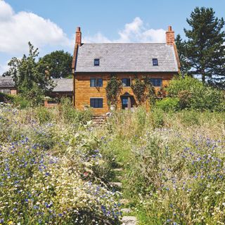 country cottage with large wildflower meadow in front