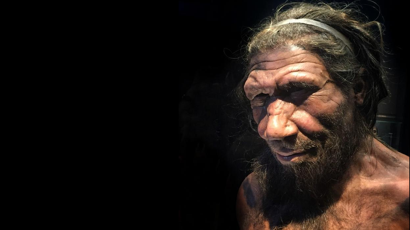 Reconstruction of a Neanderthal man