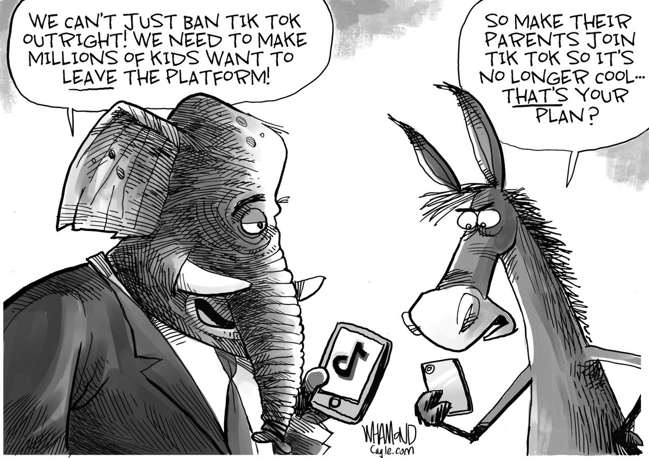 Political Cartoon