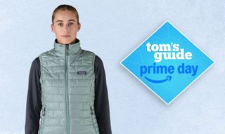 a photo of the patagonia nano puff vest