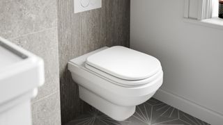 white back to wall toilet