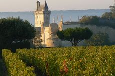Loire reds vintage guide