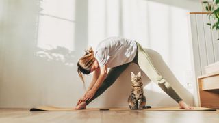 Woman stretching out in sunny room at home wearing workout clothes with cat sitting between legs