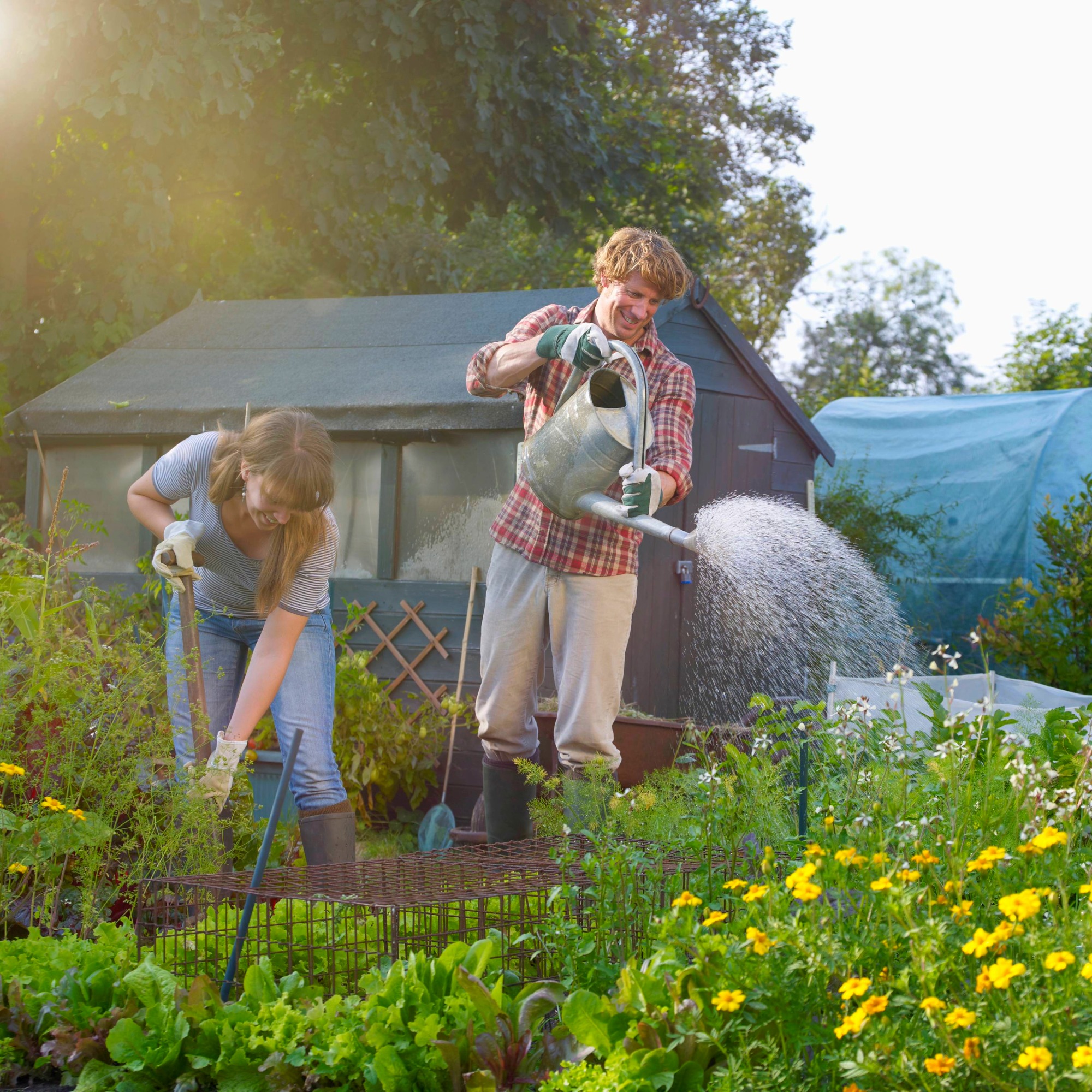 Couple planting a garden