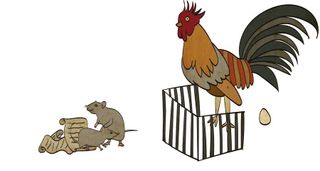 illustration of mice and a rooster in court.