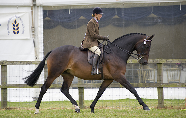 Jayne Ross and Casino